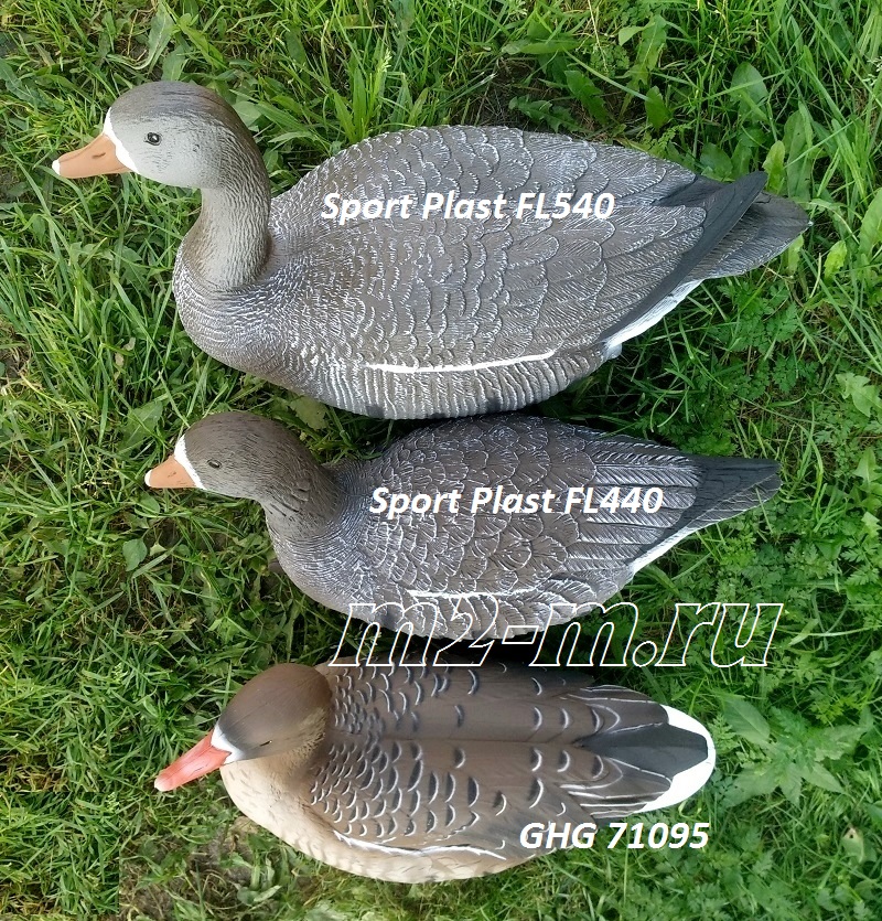   FL 540  Sport Plast