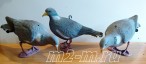 26-00 U/F SPORT PLAST  комплект из трёх голубей